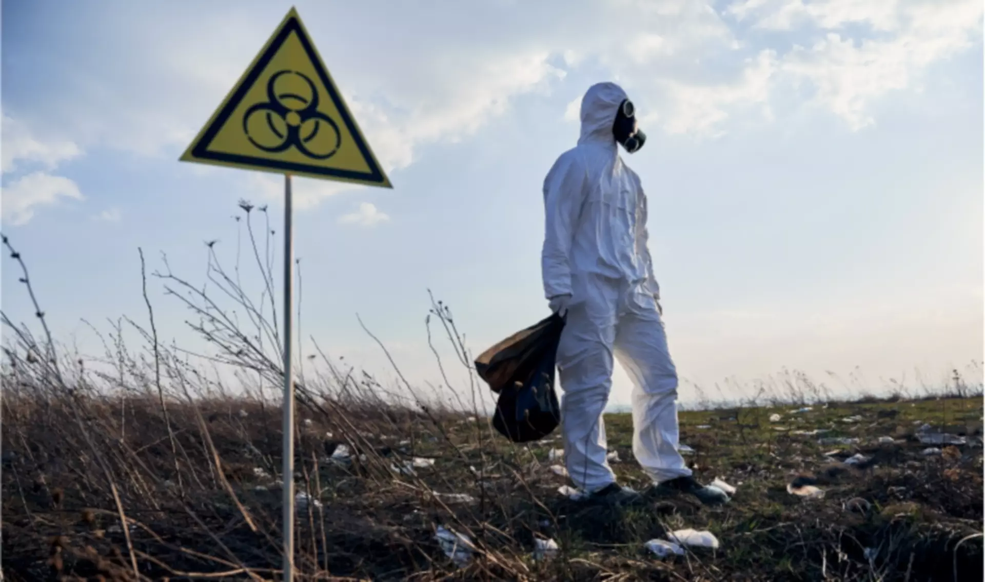 What is your Toxic Burden
