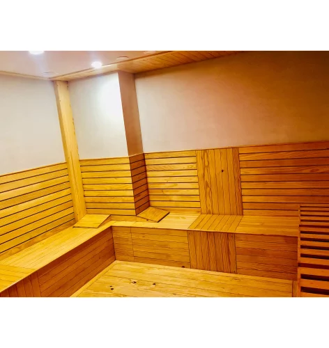 blizz custom infrared sauna